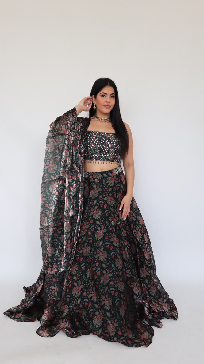 The Vasanti