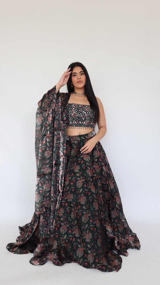 The Vasanti
